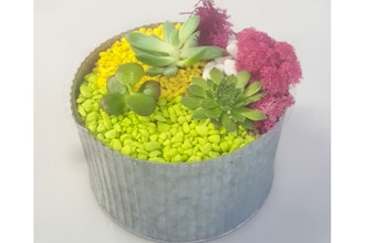 Plant Nite: Colorful Metal Planter with Succulents